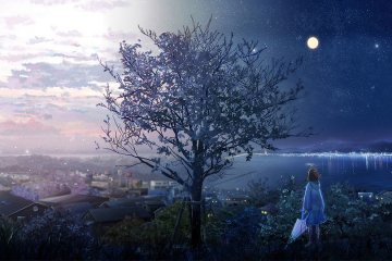 走入你的良夜【完结】