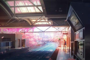 我总在春天想起你【完结】