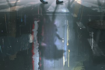 荒野植被【完结FT】